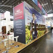 Stand