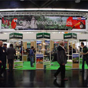 Stand