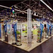 Stand